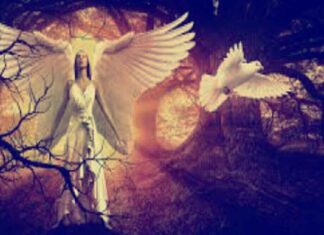 डाकिनी शाबर मंत्र साधना : डाकिनी साधना क्या हे?