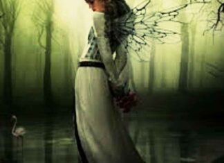 राज्यदाता यक्षिणी साधना : यक्षिणी सिद्धि की सम्पूर्ण विधि राज्यदाता यक्षिणी साधना