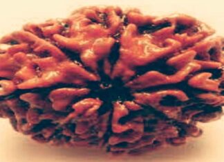 अष्ट मुखी रुद्राक्ष सिद्ध करने का शक्तिशाली मन्त्र