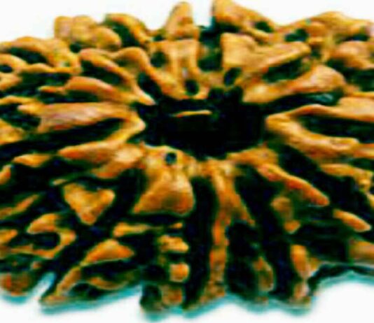 दश मुखी रुद्राक्ष सिद्ध करने का शक्तिशाली मंत्र दश मुखी रुद्राक्ष