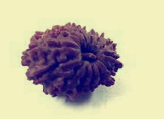 चर्तुदशमुखी रुद्राक्ष सिद्ध करने का शक्तिशाली मंत्र चर्तुदशमुखी रुद्राक्ष सिद्ध करने का शक्तिशाली मंत्र