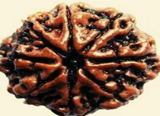 त्रिमुखी रुद्राक्ष सिद्ध करने का शक्तिशाली मंत्र त्रिमुखी रुद्राक्ष