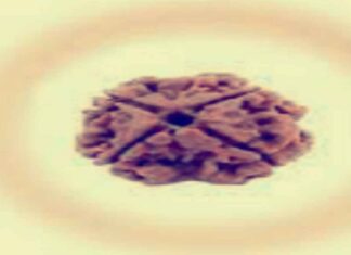 चतुर्थ मुखी रुद्राक्ष सिद्ध करने का प्रचंड मंत्र चतुर्थ मुखी रुद्राक्ष