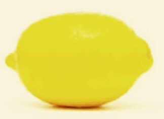 निम्बू से वशीकरण : वशीकरण का शक्तिशाली और दुर्लभ प्रयोग