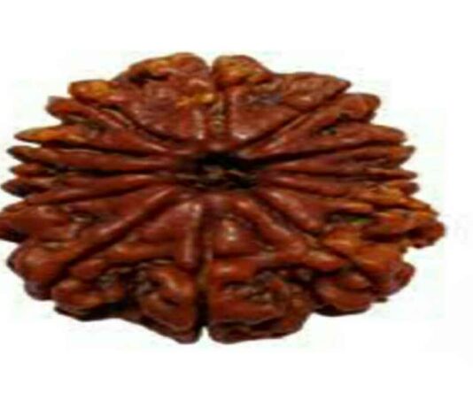 रुद्राक्ष को सिद्ध करने का मंत्र : रुद्राक्ष माला पहेनने के नियम रुद्राक्ष को सिद्ध करने