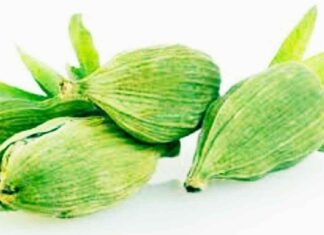 इलाइची मोहन मंत्र साधना : वशीकरण का गुप्त प्रयोग