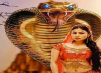 अष्ट नागिनी साधना : अष्ट नागिनी तंत्र साधना