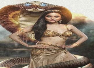 कुलीरमुखी नागिनी मंत्र : नागिनी साधना और मंत्र विधि कुलीरमुखी नागिनी