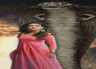 नागिनी मंत्र साधना का सम्पूर्ण विधि विधान नागिनी मंत्र साधना