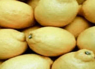 निम्बू को हवा में उड़ाने का शक्तिशाली मंत्र निम्बू को हवा