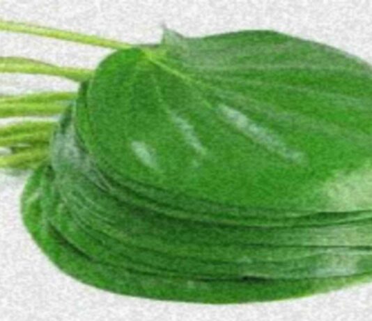पान मोहिनी साधना : प्राचीन और शक्तिशाली मोहिनी मंत्र पान मोहिनी साधना