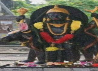 रोगों तथा उपद्रवों की शान्ति के लिये करे इस मंत्र का प्रयोग रोगों तथा उपद्रवों