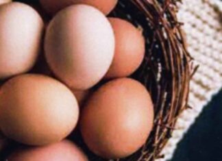 जादू करने का तरीका : मंत्र से मुर्गी का अण्डा कूदे फांदे जादू करने का तरीका