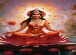 महालक्ष्मी स्त्रोत : धन,वैभव और सुख की प्राप्ति के लिए करे इस स्त्रोत का पाठ महालक्ष्मी स्त्रोत