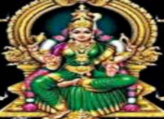 मातंगी ध्यान : माँ मातंगी का ध्यान कैसे करे? मातंगी ध्यान