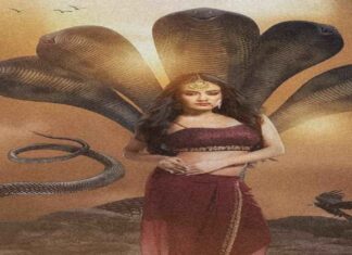 सांप काटे का मंत्र : इस मंत्र के प्रयोग से साप का विष तुरंत उतर जाता हे सांप काटे का मंत्र