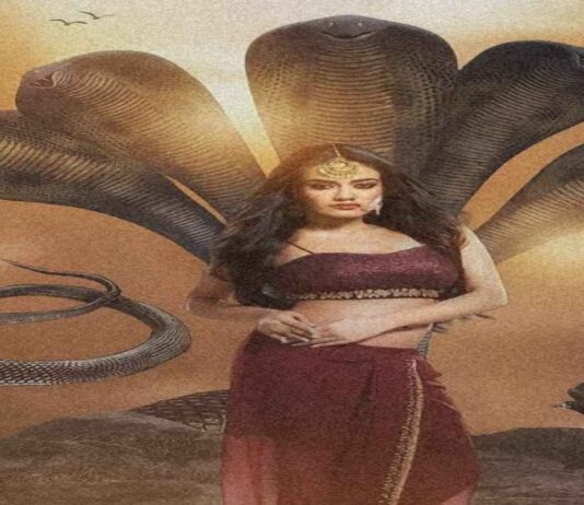 सांप काटे का मंत्र : इस मंत्र के प्रयोग से साप का विष तुरंत उतर जाता हे सांप काटे का मंत्र
