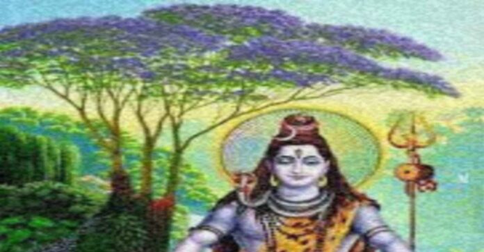 सर्प विष उतारने