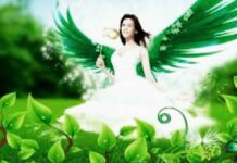 स्वर्णप्रभा यक्षिणी साधना : सुख,शांति और वैभव के लिए करे ये साधना स्वर्णप्रभा यक्षिणी साधना