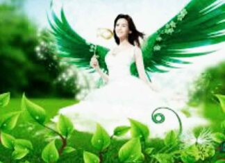 स्वर्णप्रभा यक्षिणी साधना : सुख,शांति और वैभव के लिए करे ये साधना स्वर्णप्रभा यक्षिणी साधना