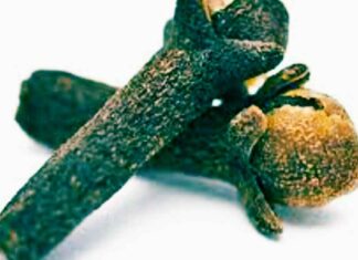 लौंग से वशीकरण :लड़की हो या स्त्री दौड़ी दौड़ी चली आएगी लौंग से वशीकर