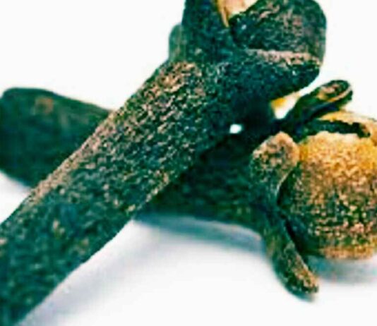 लौंग से वशीकरण :लड़की हो या स्त्री दौड़ी दौड़ी चली आएगी लौंग से वशीकर